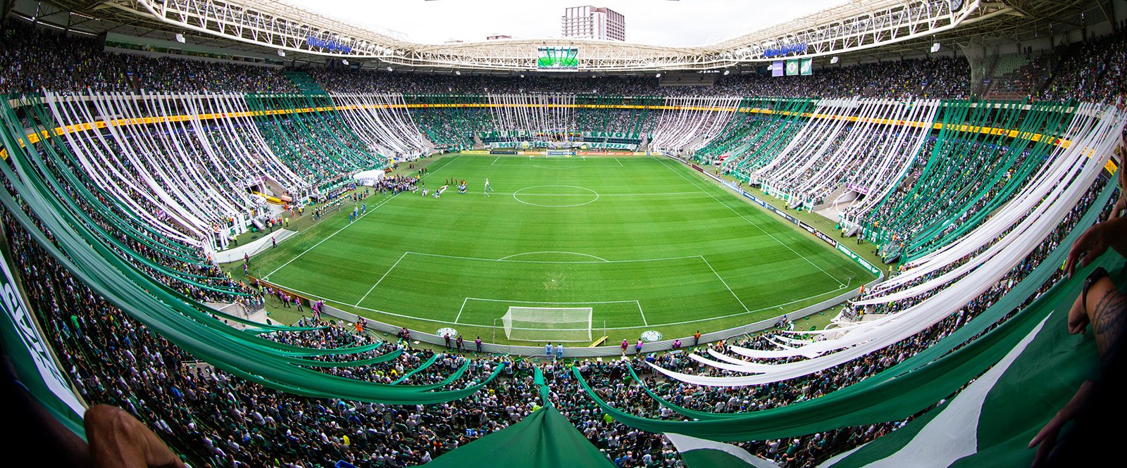 Com 5 integrantes do Palmeiras, - Portal Arena Alviverde