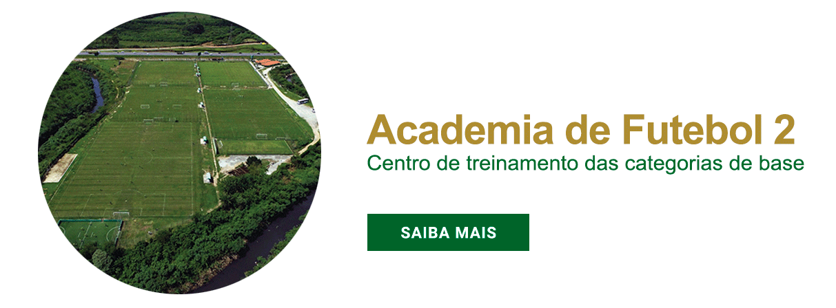 Academia 2