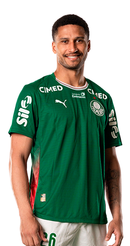 Murilo Cerqueira Paim