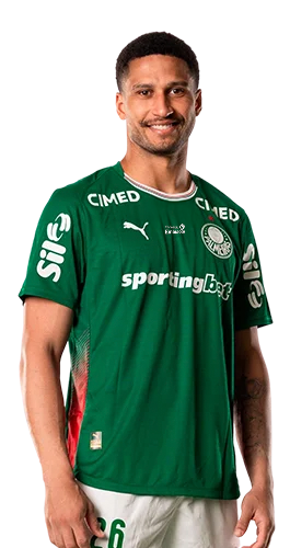 Murilo Cerqueira Paim