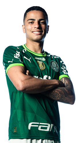 Giovani Henrique Amorim da Silva