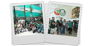 Palmeiras Experiências