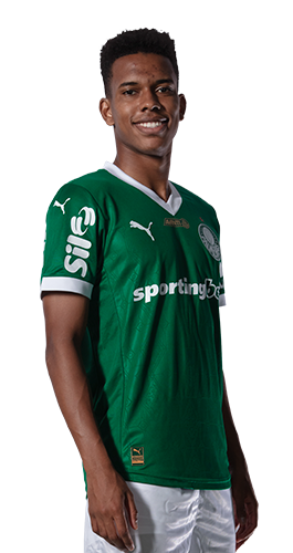 Estêvão Willian Almeida de Oliveira Gonçalves