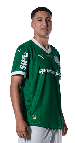 Thalys Henrique Gomes de Araújo