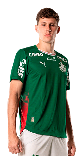 Luiz Gustavo Roncholeta Benedetti