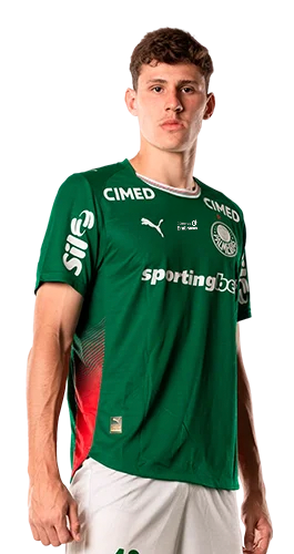 Luiz Gustavo Roncholeta Benedetti