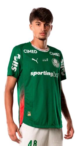 Larson Torna Ferreira dos Santos
