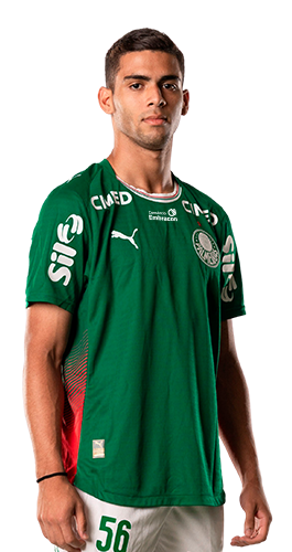 Arthur Gabriel Santana Marcolino