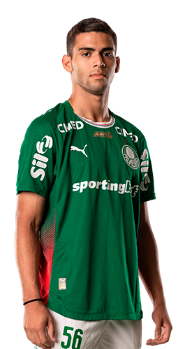 Arthur Gabriel Santana Marcolino