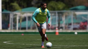 Palmeiras faz atividades técnicas e segue preparação visando Bahia